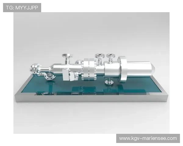 在J9九游真人平台如何进行账号安全保护与个人信息安全管理